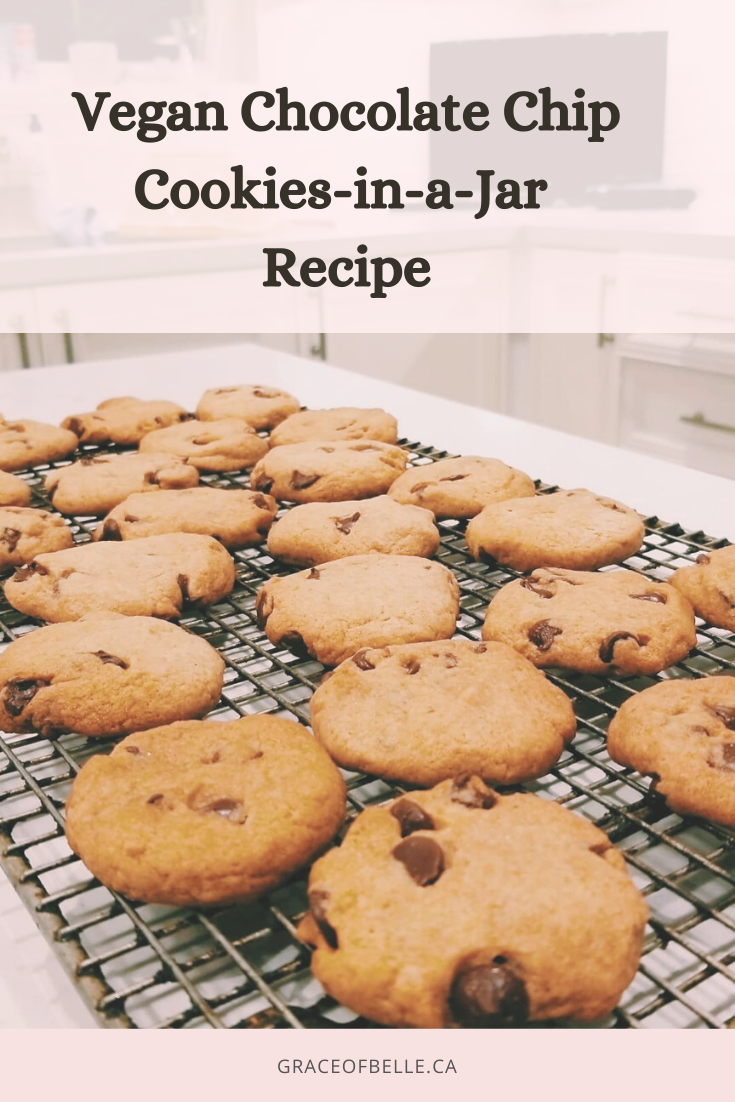 Chocolate Chip Cookies-in-a-Jar and Recipe (vegan freindly)